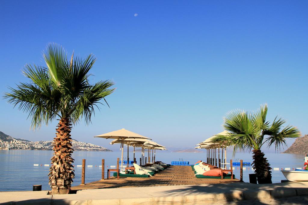 Elite Hotel Bodrum Yalıkavak Exteriér fotografie